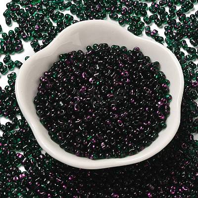 Spray Painted Glass Seed Beads SEED-F005-10A-03-1