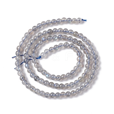 Natural Labradorite Beads Strands G-G933-02-1