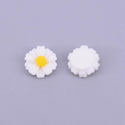 Resin Cabochons RESI-CJC0001-70D-1