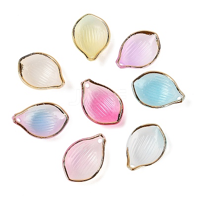 Gradient Color Transparent Acrylic Pendants TACR-F009-09-1