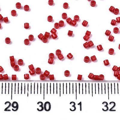 FGB 11/0 Grade A Glass Seed Beads SEED-S030-1016-1