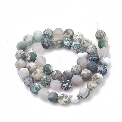 Natural Tree Agate Beads Strands X-G-T106-037-1