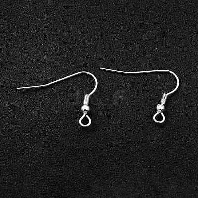 304 Stainless Steel Earring Hooks STAS-L258-001B-S-1