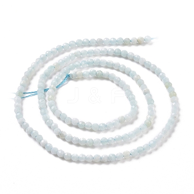 Natural Amazonite Bead Strands G-A129-2mm-20-1