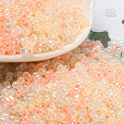 Ceylon Glass Seed Beads SEED-K009-02B-41-1