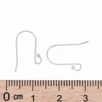 925 Sterling Silver Earring Hooks STER-G011-08-1