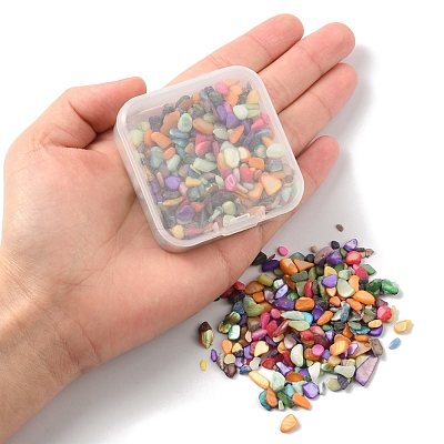 50G Dyed Natural Freshwater Shell Chip Beads BSHE-YW0001-04-1