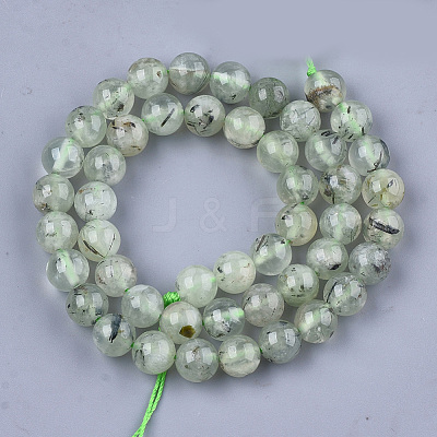 Natural Prehnite Beads Strands G-S333-8mm-032-1