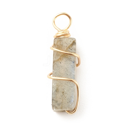 Natural Labradorite Pendants PALLOY-JF01581-01-1