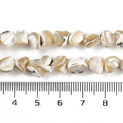 Natural Trochus Shell Beads Strands BSHE-H109-10-1