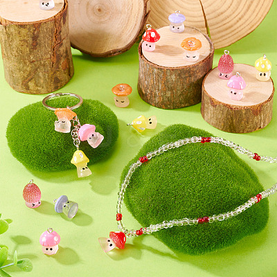 24Pcs 6 Styles Resin Pendants with Platinum Tone Iron Loops RESI-TA0004-17-1