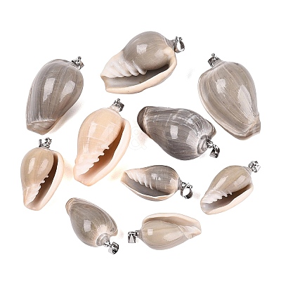 Brass & Natural Oliva Shell Pendants SHEL-Q029-22P-1
