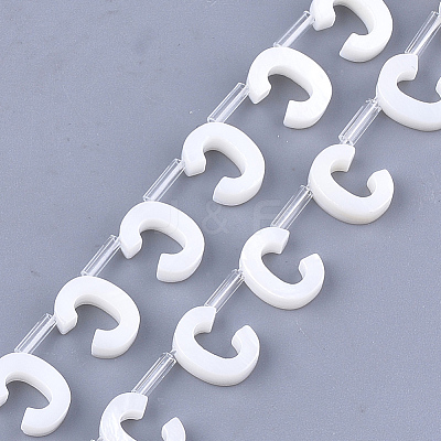 Natural Freshwater Shell Beads SHEL-T012-59C-1