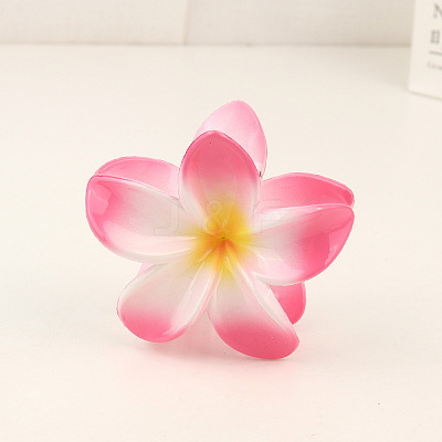 Plastic Claw Hair Clip LS-OHAR-PW0003-036E-1