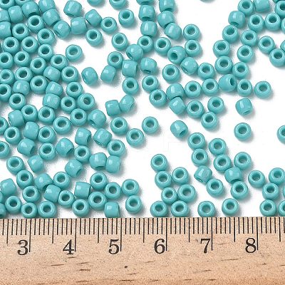 TOHO 6/0 Round Beads SEED-TR06-0055-1