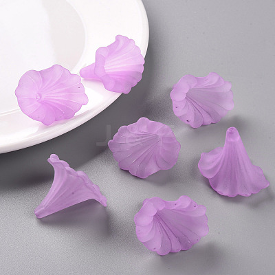 Transparent Acrylic Beads BSF796-C08-1