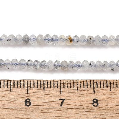 Natural Labradorite Beads Strands G-RM2025-D17-B-1