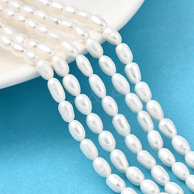 Natural Cultured Freshwater Pearl Beads Strands PEAR-I007-01P-05-1