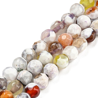 Dyed Natural Fire Crackle Agate Beads Strands G-G007-01D-1
