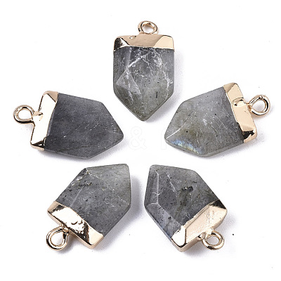 Natural Labradorite Pointed Pendants G-N326-34C-1