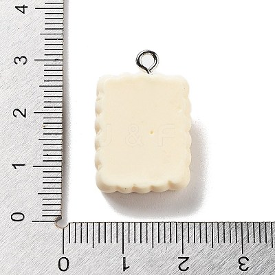 Cookies Theme Imitation Food Resin Pendants X-RESI-B021-02C-05-1