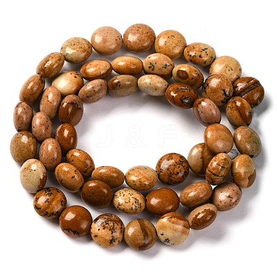 Natural Picture Jasper Beads Strands G-T047-A22-01-1
