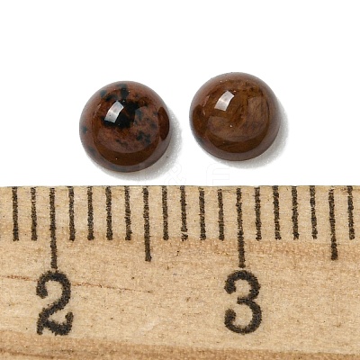 Natural Mahogany Obsidian Cabochons G-Q173-01B-21-1