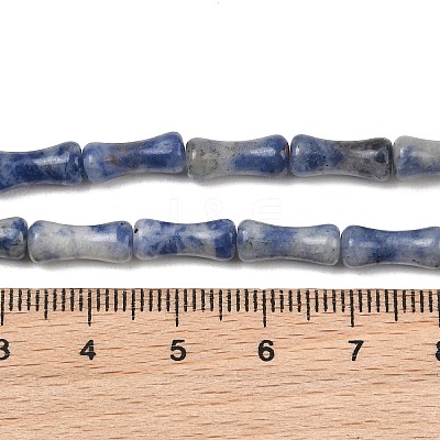 Natural Blue Spot Jasper Beads Strands GG-CBAEB22-A04-01-1