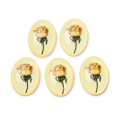 Transparent Resin Cabochons RESI-K033-11B-1