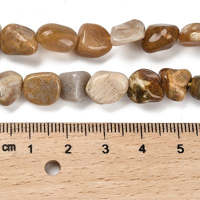 Natural Fossil Coral Beads Strands G-P497-01E-36-1