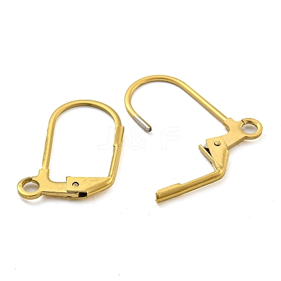 Ion Plating(IP) 304 Stainless Steel Leverback Earring Findings X-STAS-P360-02B-G-1