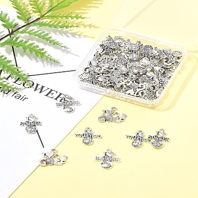 60Pcs 4 Styles Tibetan Style Zinc Alloy Pendants TIBEP-FS0001-35-1