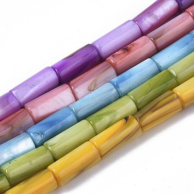 Natural Freshwater Shell Beads SHEL-R047-01-1