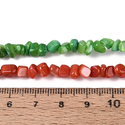 Natural Freshwater Shell Beads Strands SHEL-N037-04A-1