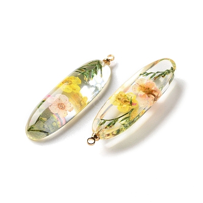 Inner Dried Flower Transparent Resin Pendants X-RESI-A043-01B-1