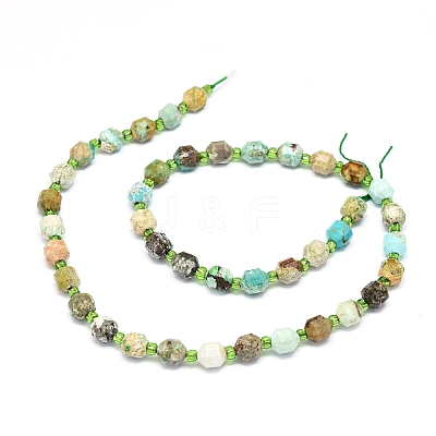 Natural Turquoise Beads Strands G-O201B-38-1