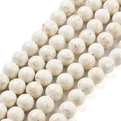 Natural Fossil Beads Strands G-H026-02B-1