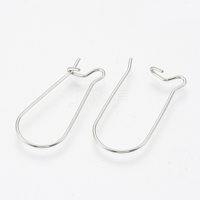 Tarnish Resistant 304 Stainless Steel Hoop Earrings STAS-T031-01-1