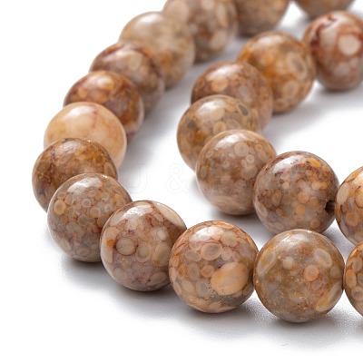 Natural Maifanite/Maifan Stone Beads Strands X-G-P451-01A-C-1