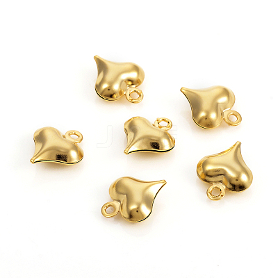 304 Stainless Steel Charms STAS-I149-05A-G-1
