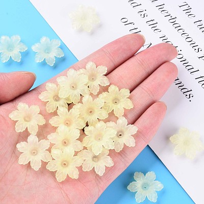 Transparent Acrylic Beads MACR-S373-117-D03-1