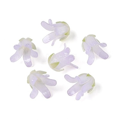 Heat Shrink Acrylic Bead Caps OACR-N155-04C-1