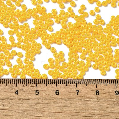 Baking Paint Glass Seed Beads SEED-P006-03A-04-1