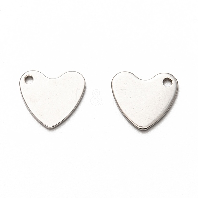 Non-Tarnish 201 Stainless Steel Charms STAS-I172-29P-1
