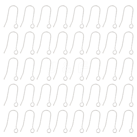 100Pcs 316 Stainless Steel Earring Hooks STAS-UN0041-94-1