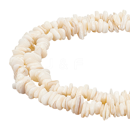 BENECREAT 2 Strands Natural Shell Beads Strands BSHE-BC0001-05-1