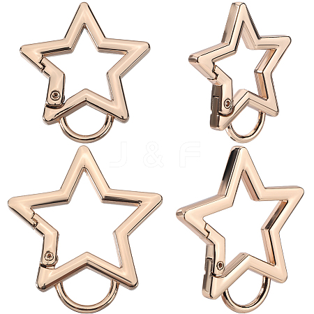 4Pcs 2 Styles Zinc Alloy Spring Gate Rings FIND-GF0007-56KCG-1