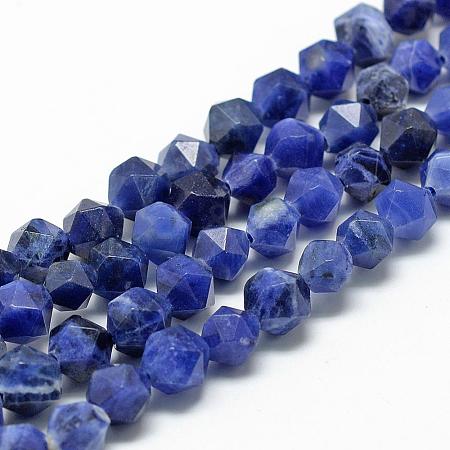 Natural Sodalite Beads Strands G-R448-8mm-09-1