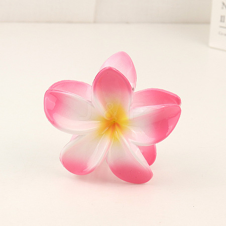Plastic Claw Hair Clip LS-OHAR-PW0003-036E-1