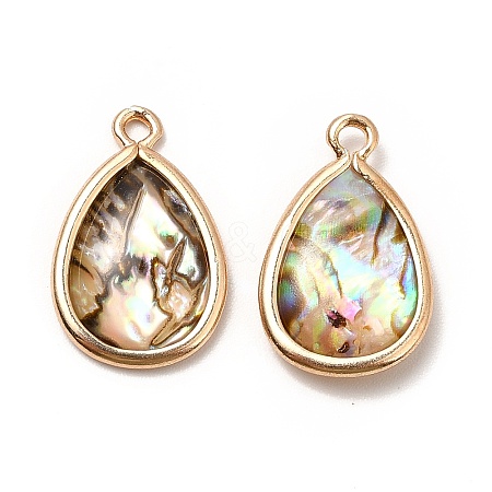 Brass Enamel Pendants LS-KK-K252-10G-07-1
